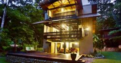 Matapalo Dream Property Osa Peninsula