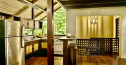 Matapalo Dream Property Osa Peninsula