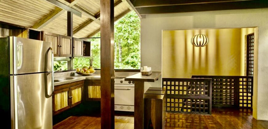 Matapalo Dream Property Osa Peninsula