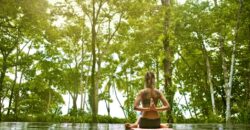 Matapalo Dream Property Osa Peninsula