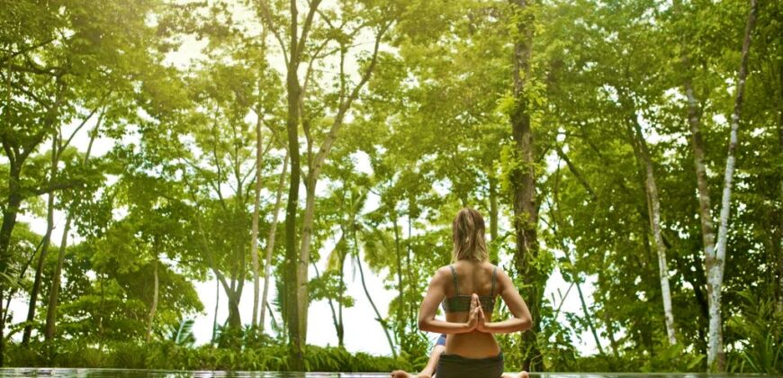 Matapalo Dream Property Osa Peninsula