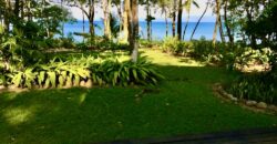 Matapalo Dream Property Osa Peninsula