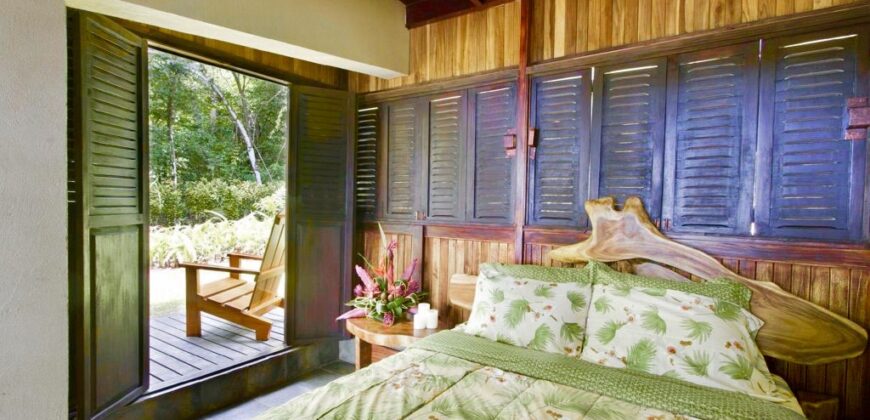 Matapalo Dream Property Osa Peninsula