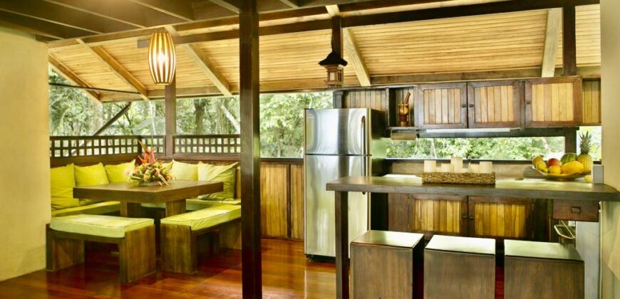 Matapalo Dream Property Osa Peninsula