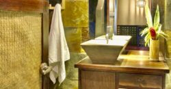 Matapalo Dream Property Osa Peninsula