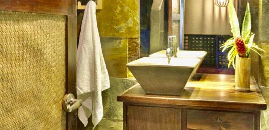 Matapalo Dream Property Osa Peninsula