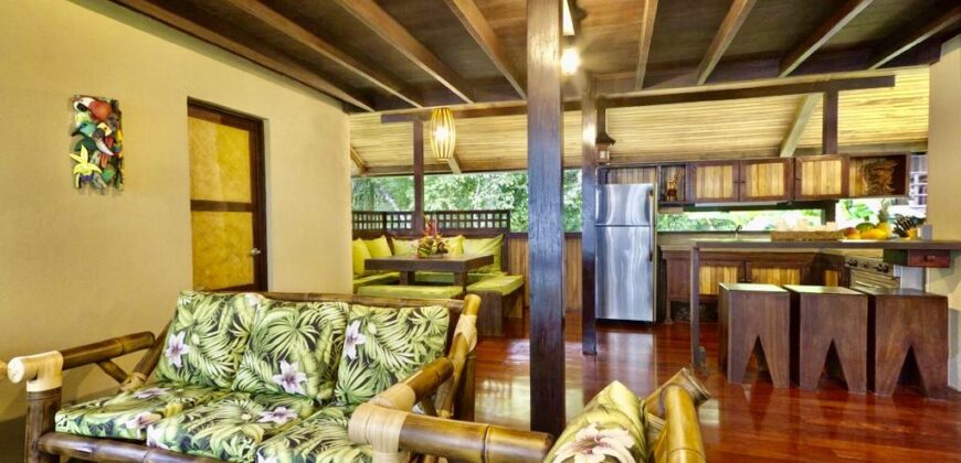 Matapalo Dream Property Osa Peninsula