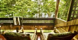 Matapalo Dream Property Osa Peninsula