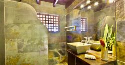 Matapalo Dream Property Osa Peninsula