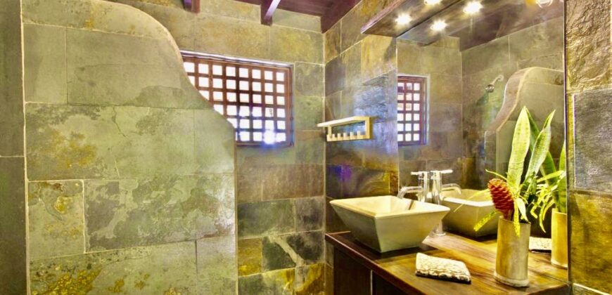 Matapalo Dream Property Osa Peninsula