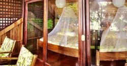 Matapalo Dream Property Osa Peninsula