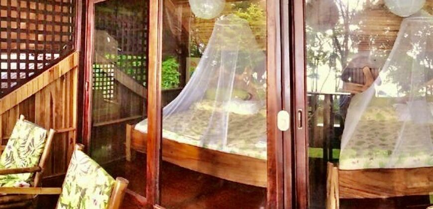 Matapalo Dream Property Osa Peninsula