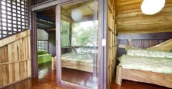 Matapalo Dream Property Osa Peninsula