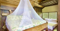 Matapalo Dream Property Osa Peninsula