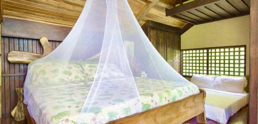 Matapalo Dream Property Osa Peninsula