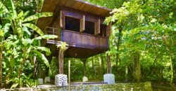 Matapalo Dream Property Osa Peninsula