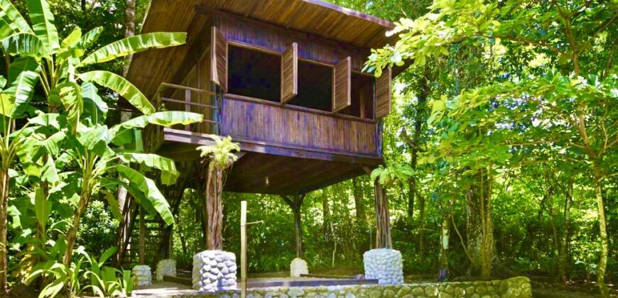 Matapalo Dream Property Osa Peninsula