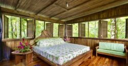 Matapalo Dream Property Osa Peninsula