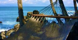 Matapalo Dream Property Osa Peninsula