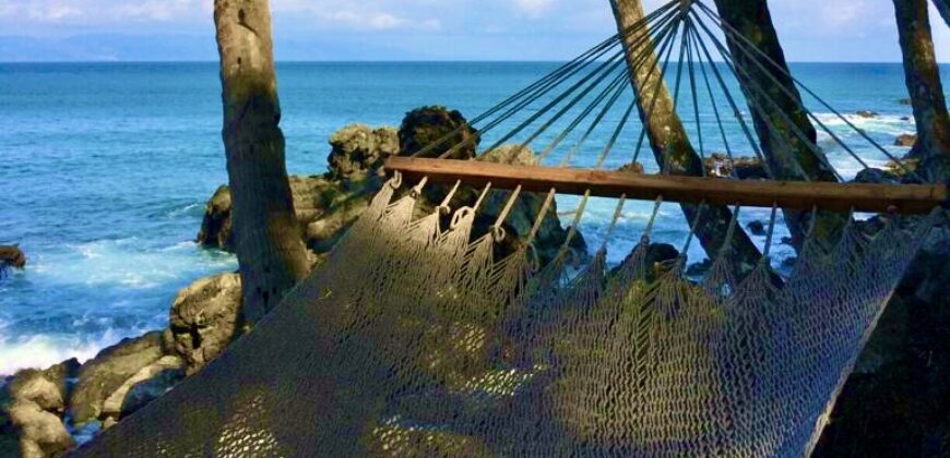 Matapalo Dream Property Osa Peninsula