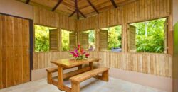 Matapalo Dream Property Osa Peninsula