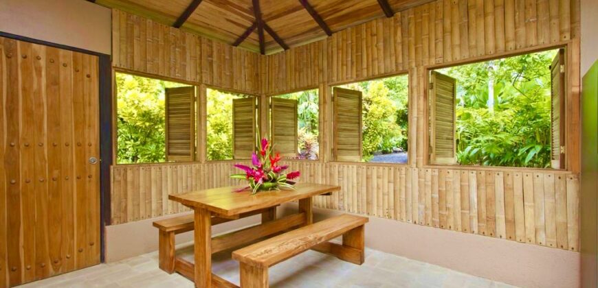 Matapalo Dream Property Osa Peninsula