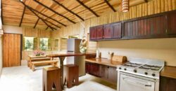 Matapalo Dream Property Osa Peninsula