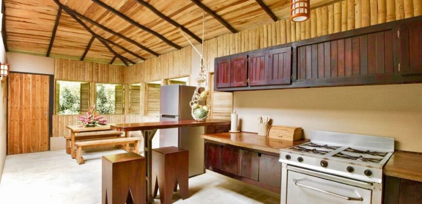 Matapalo Dream Property Osa Peninsula