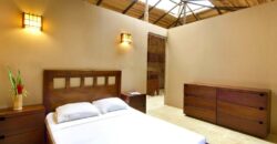 Matapalo Dream Property Osa Peninsula