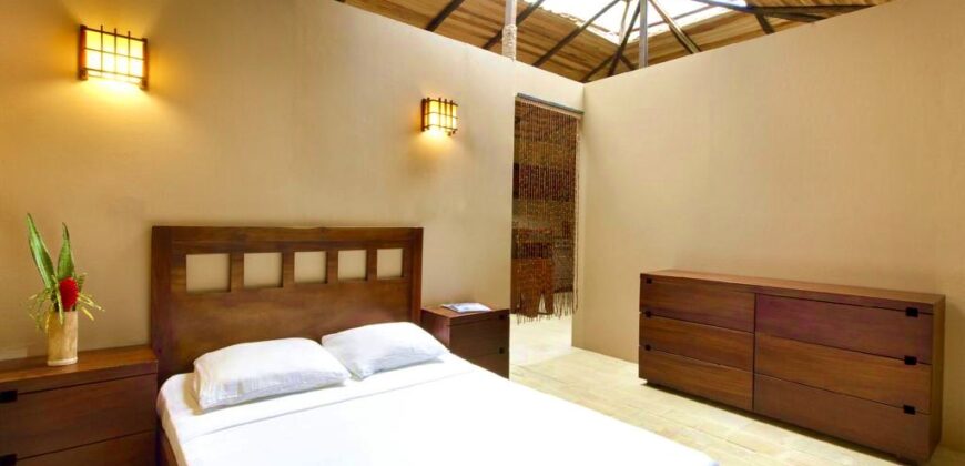 Matapalo Dream Property Osa Peninsula