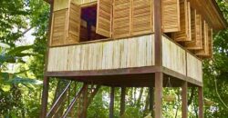 Matapalo Dream Property Osa Peninsula