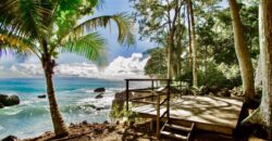 Matapalo Dream Property Osa Peninsula