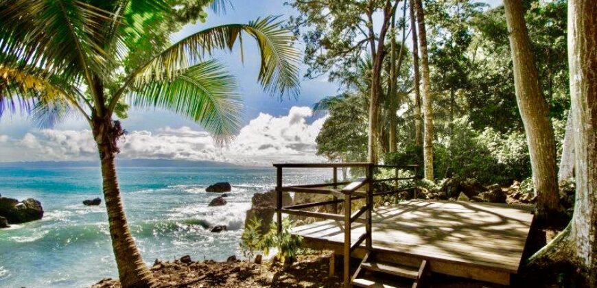 Matapalo Dream Property Osa Peninsula