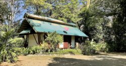 Point Break Beachfront Property Osa Peninsula