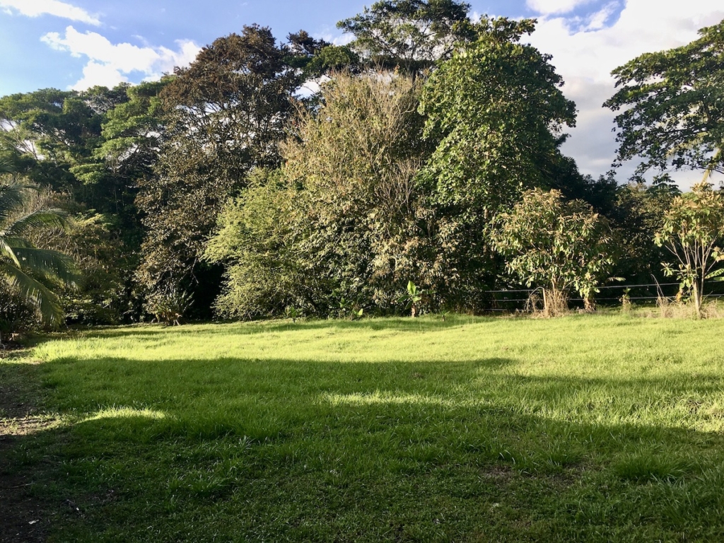 Osa Peninsula Real Estate Listings Osa Land Office