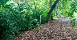 Titled Lot Near A Hidden Beach Close To Town