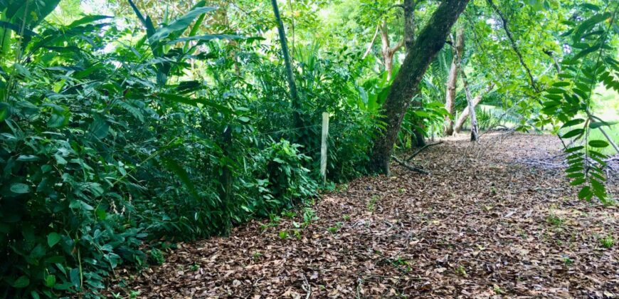 Titled Lot Near A Hidden Beach Close To Town