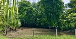 Titled Lot Near A Hidden Beach Close To Town