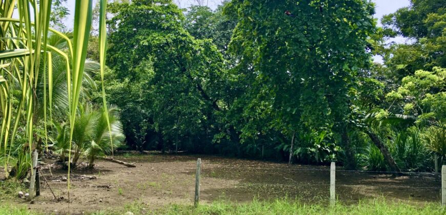 Titled Lot Near A Hidden Beach Close To Town