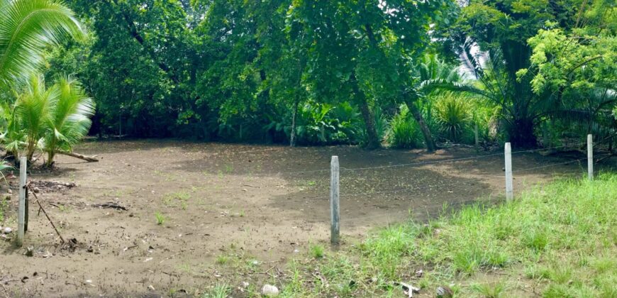 Titled Lot Near A Hidden Beach Close To Town