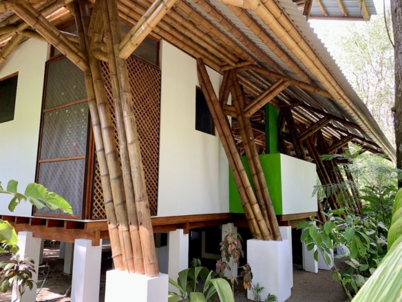 Artistic bamboo roof design on Costa Rica beachfront home