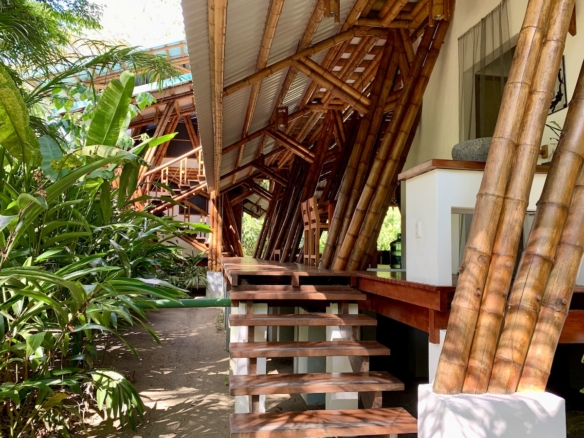 Secluded beachfront entry surrounded by rainforest