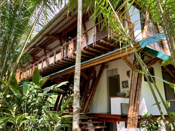 Sunlit tropical interior with wooden finishes 