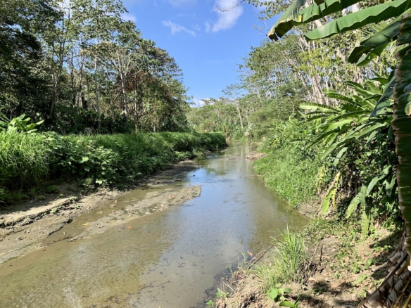 Swimming pool near beach with tropical palm trees