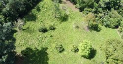 Ideal Osa Peninsula Property for Estate or Homestead