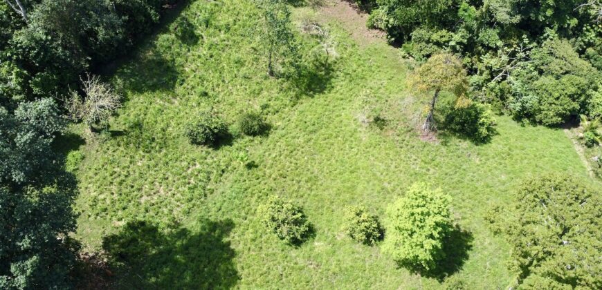 Ideal Osa Peninsula Property for Estate or Homestead