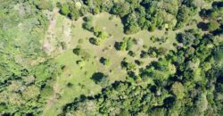 Ideal Osa Peninsula Property for Estate or Homestead