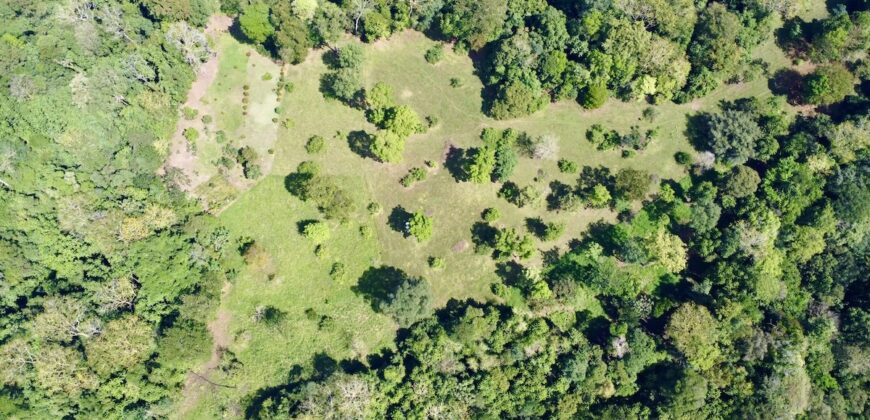 Ideal Osa Peninsula Property for Estate or Homestead