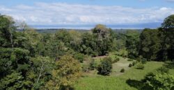 Ideal Osa Peninsula Property for Estate or Homestead
