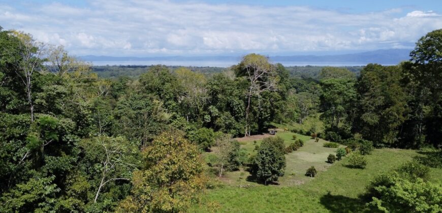 Ideal Osa Peninsula Property for Estate or Homestead